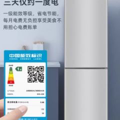 风冷无霜丨228L冰箱家用小型双开门大容量出租房用一级能效电冰箱